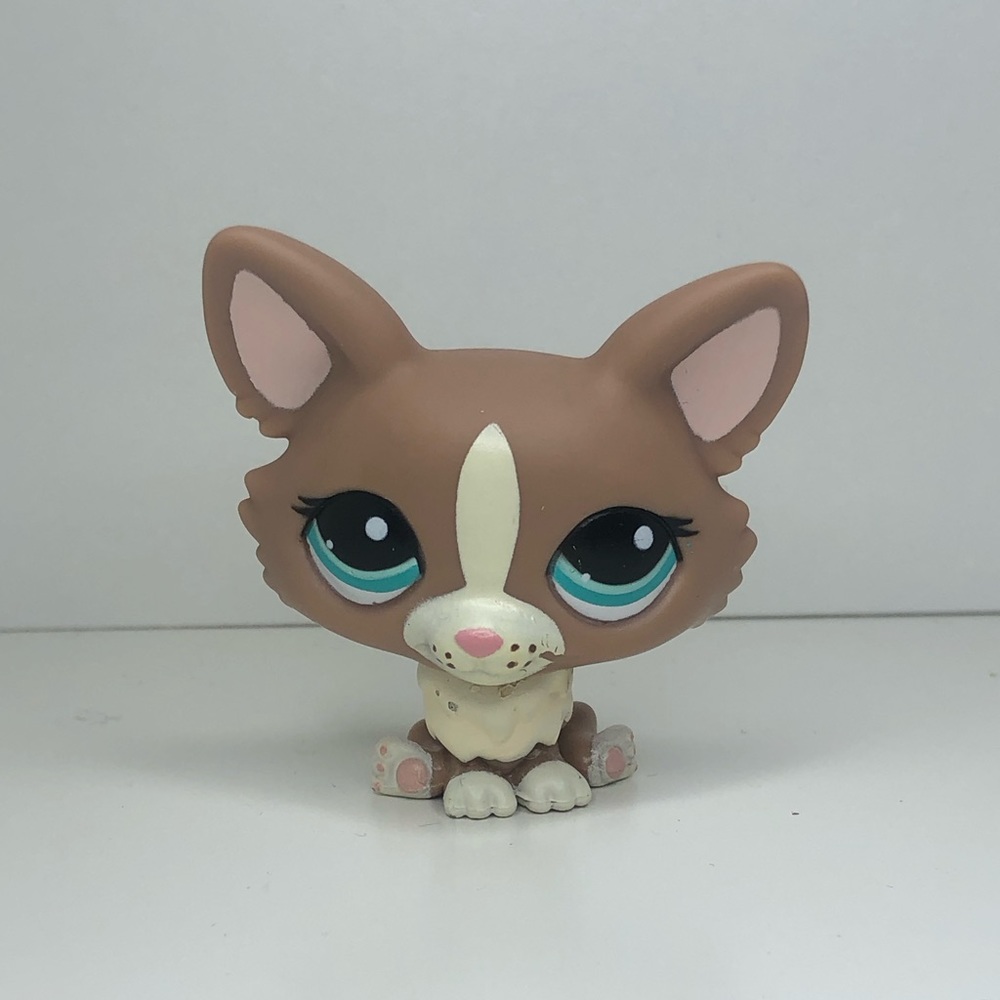 littlest pet shop corgi #1864